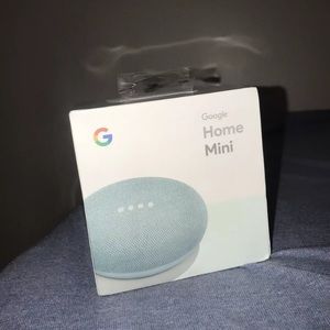 Google Minis (Google Store)